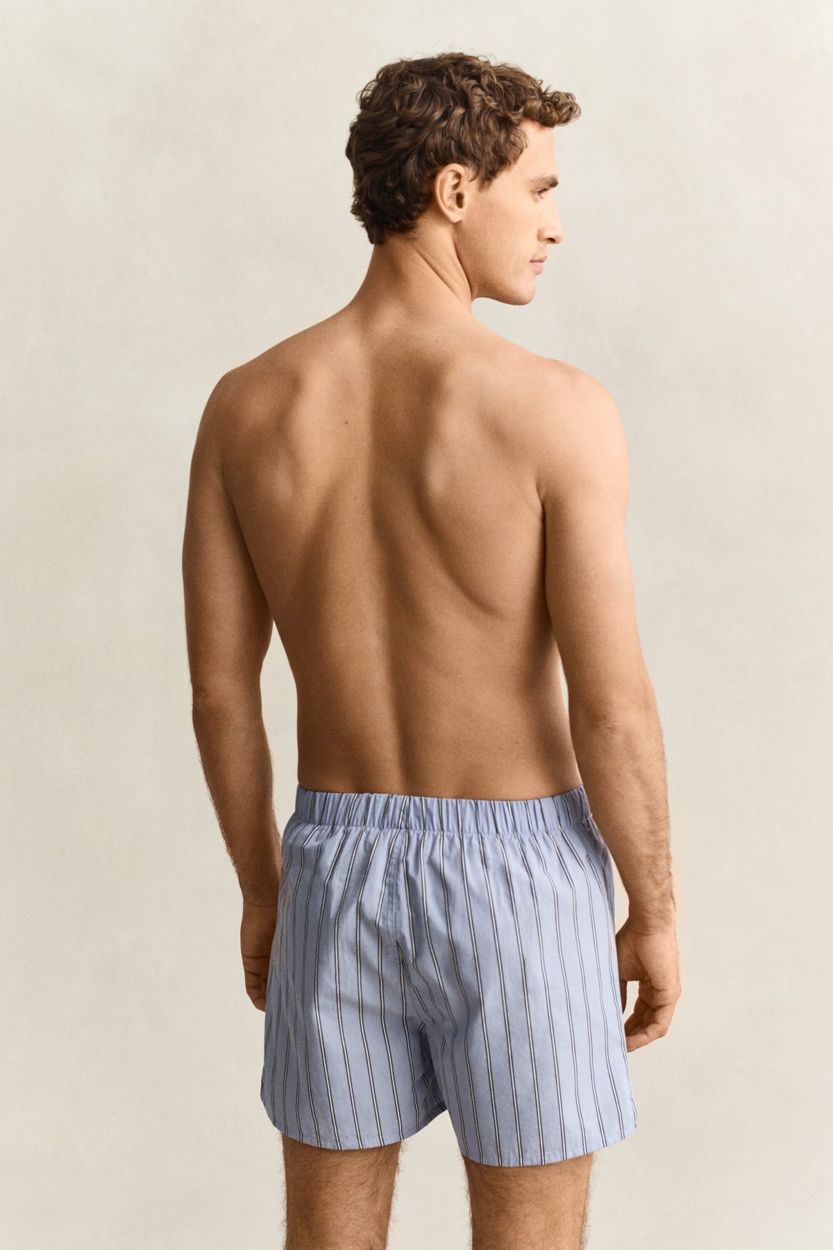 Striped Boxer Shorts 2-Pack - 411 Lavender Blue – modell bak
