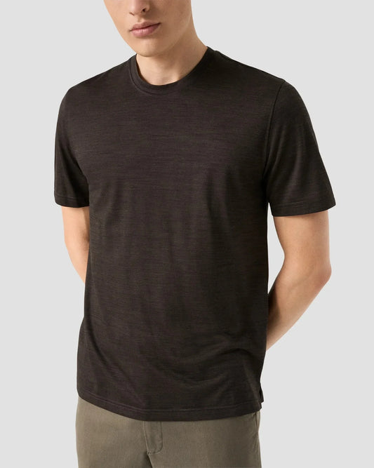 Merino wool lyocell t-shirt herr t-shirt i brun färg med rund hals och kort ärm