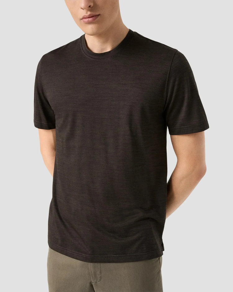 Merino wool lyocell t-shirt herr t-shirt i brun färg med rund hals och kort ärm